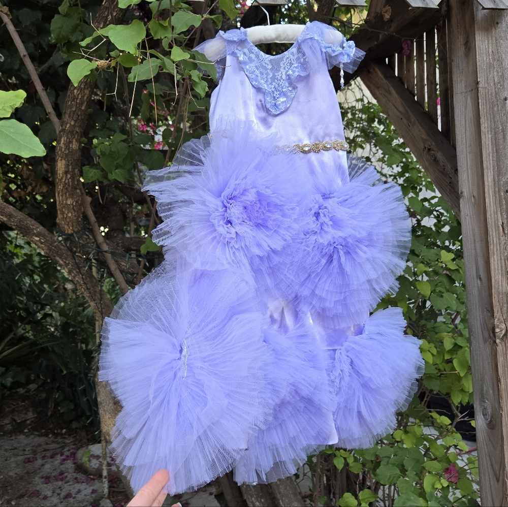 Girls Lavender Tulle Dress Up Princess Costume Dress 3T 4